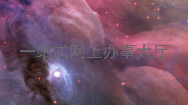 一站式网上办事大厅