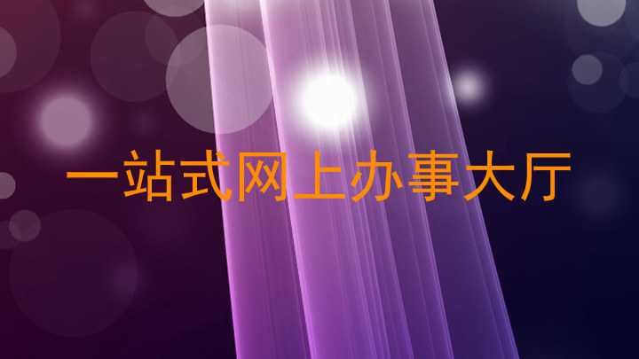 一站式网上办事大厅