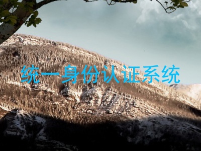 统一身份认证系统