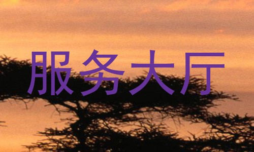 服务大厅