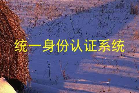 统一身份认证系统