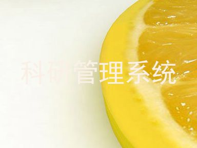 科研管理系统