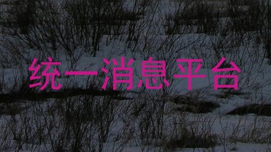统一消息平台