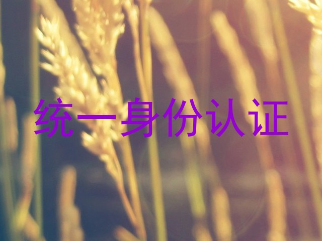 统一身份认证