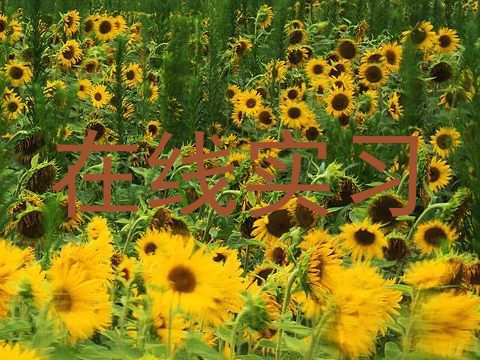 在线实习