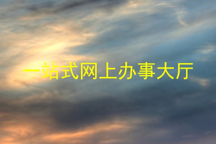一站式网上办事大厅