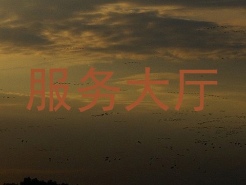 服务大厅