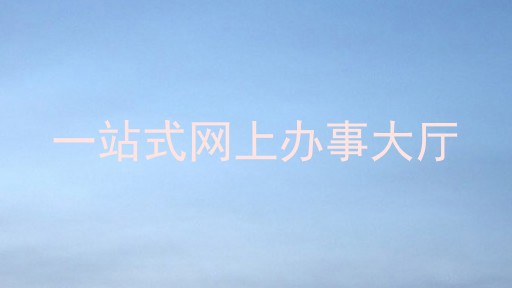 一站式网上办事大厅