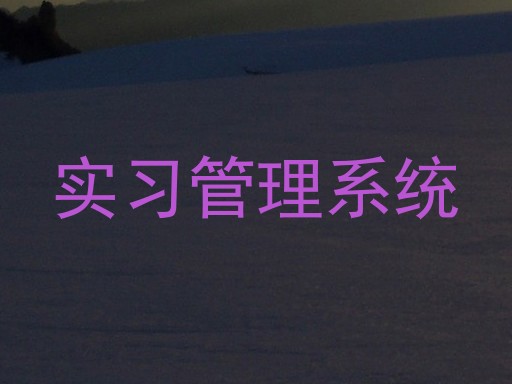 实习管理系统