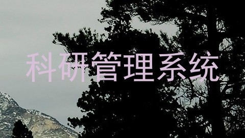 科研管理系统