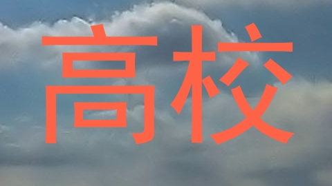 高校