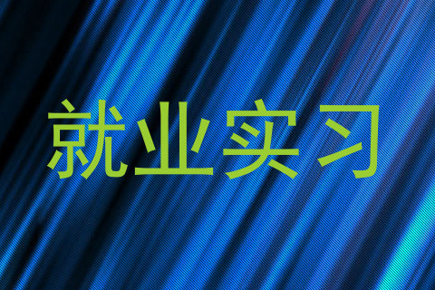 就业实习