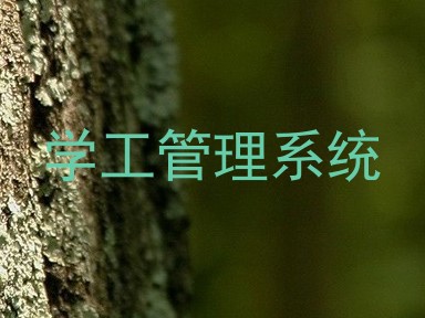 学工管理系统