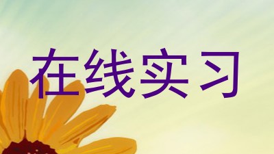 在线实习