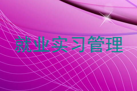 就业实习管理
