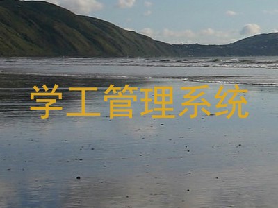 学工管理系统