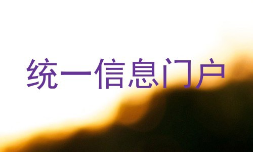 统一信息门户