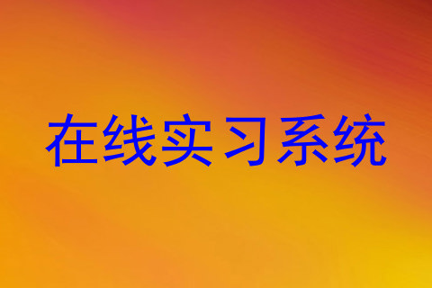 在线实习系统