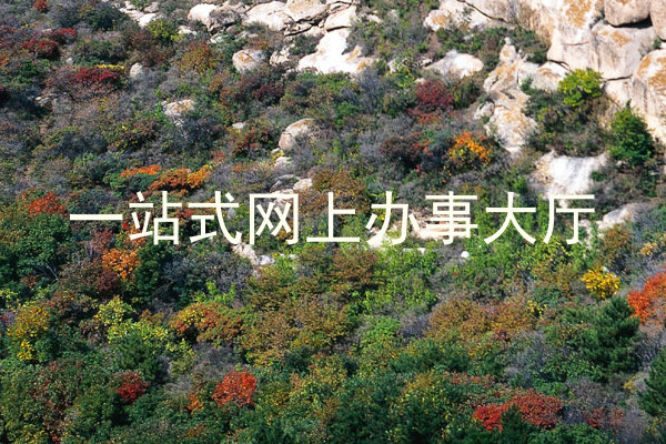 一站式网上办事大厅