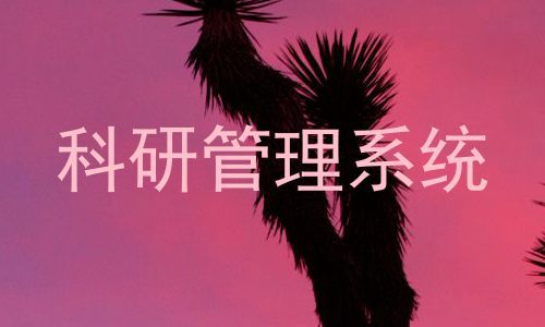 科研管理系统