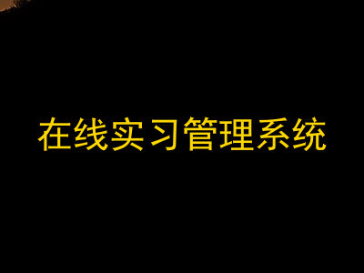在线实习管理系统