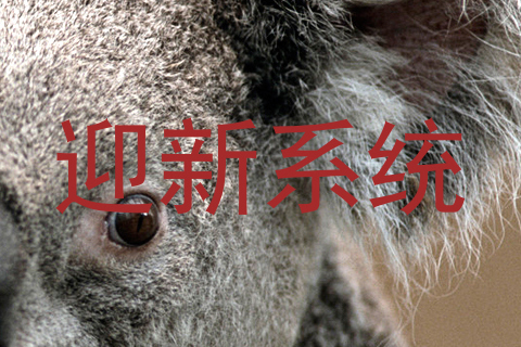 迎新系统