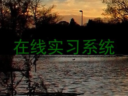 在线实习系统