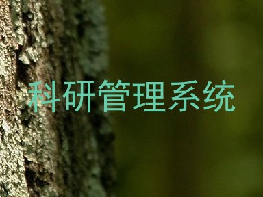 科研管理系统