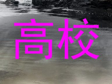 高校
