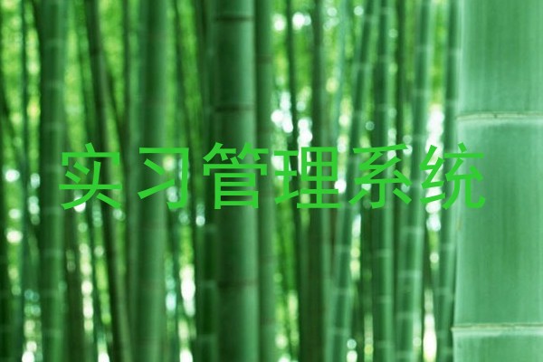 实习管理系统