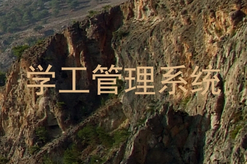 学工管理系统