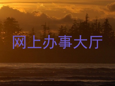 网上办事大厅