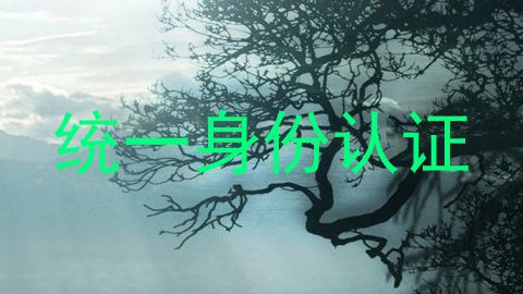 统一身份认证