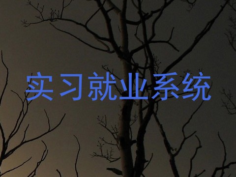 实习就业系统