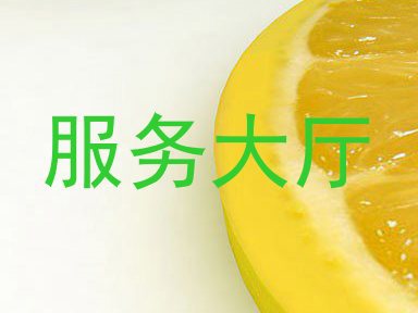 服务大厅