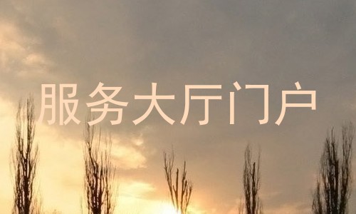 服务大厅门户