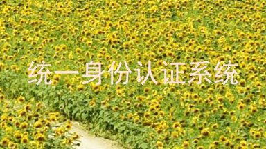 统一身份认证系统