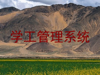 学工管理系统