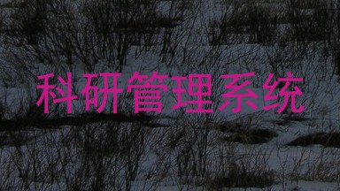 科研管理系统