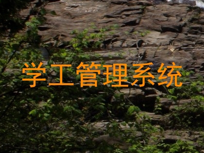 学工管理系统