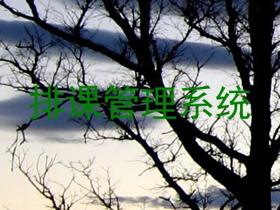 排课管理系统