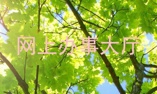 网上办事大厅