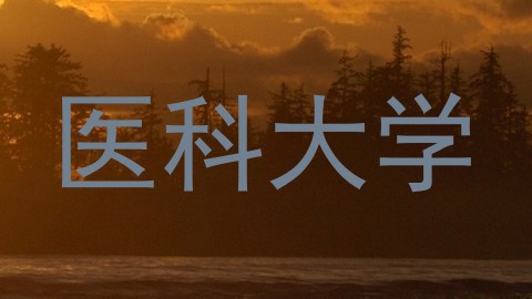 医科大学