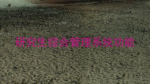 研究生综合管理系统功能