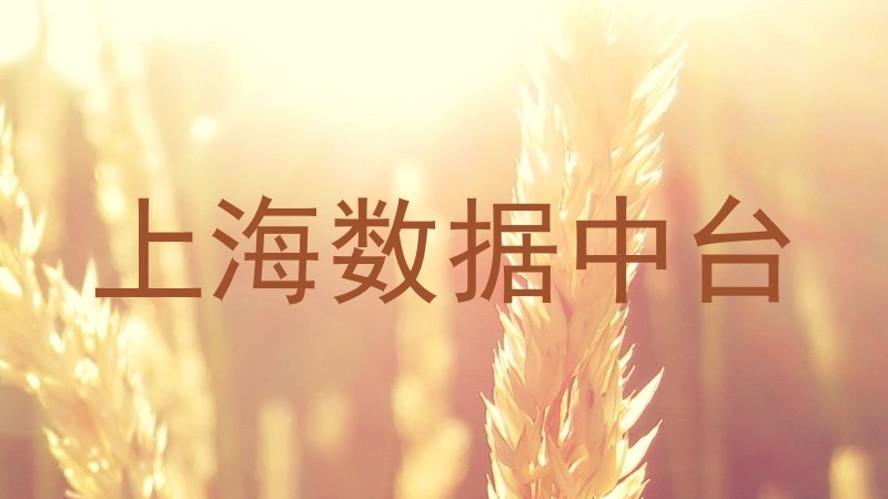 上海数据中台