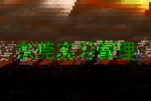 东莞实习管理