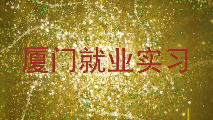 厦门就业实习