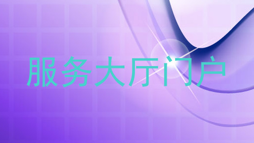 服务大厅门户