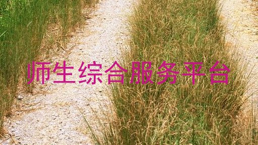 师生综合服务平台