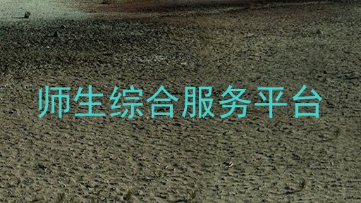 师生综合服务平台
